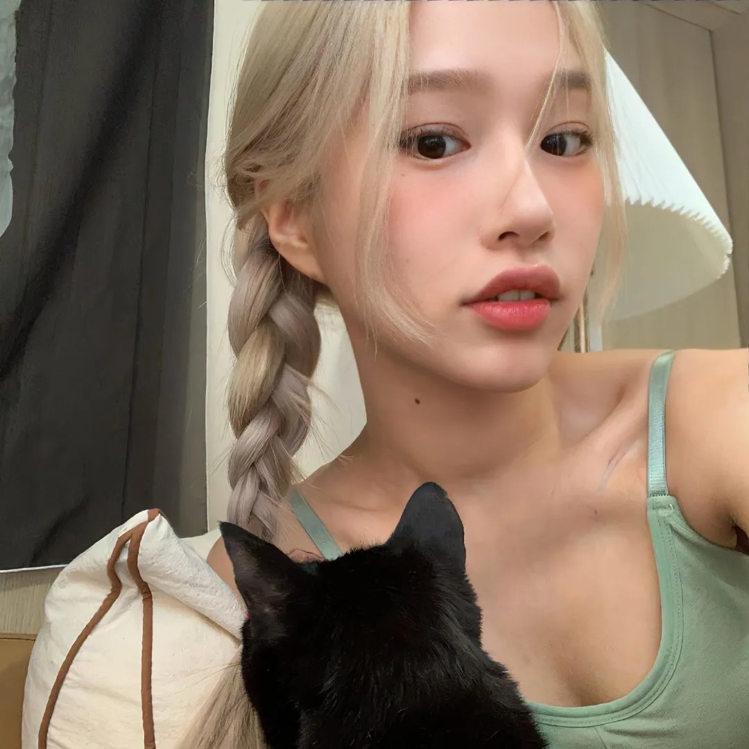 猫咪后院之家